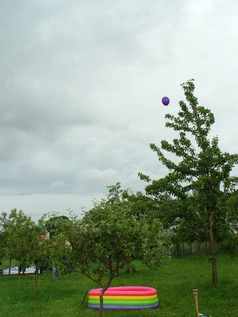 Picture_064.jpg