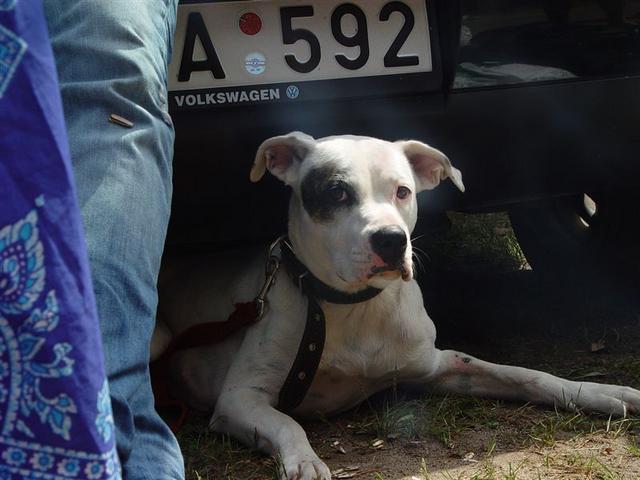 DSC01411.JPG