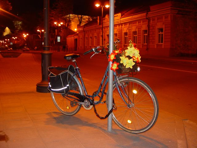 res8284.jpg