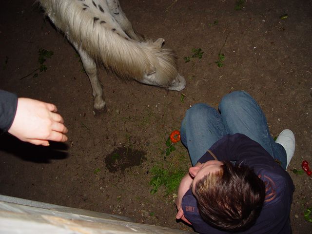 DSC03123.jpg