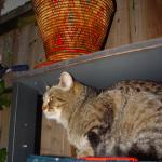 DSC03274.jpg