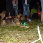DSC00894.jpg