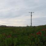 Scotland064.jpg