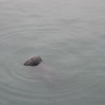 Scotland078.jpg