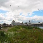 Scotland093.jpg