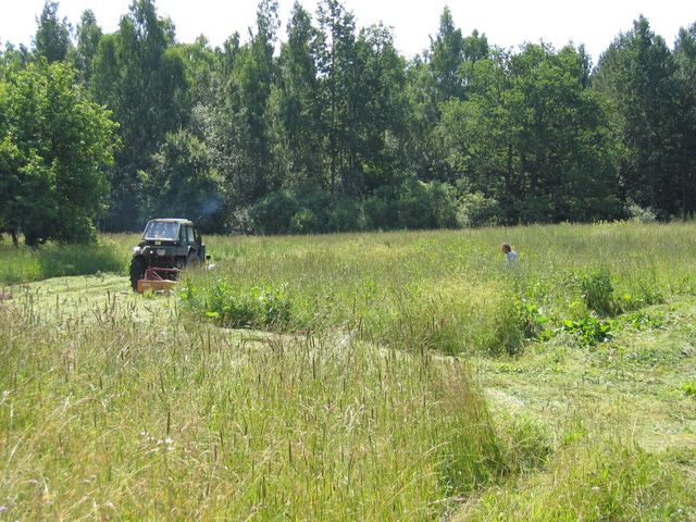 pic_050.jpg