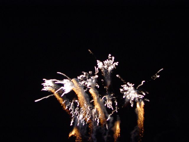 DSC05567.jpg