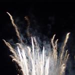 DSC05570.jpg