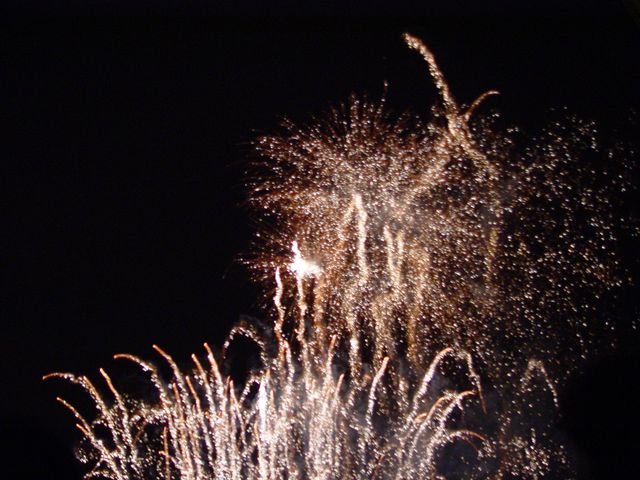 DSC05592.jpg