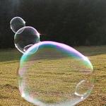 2671334253_78353f0db8.jpg