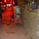 DSC07333.jpg