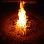 DSC00518.jpg