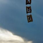 20080704_0753-vi.jpg