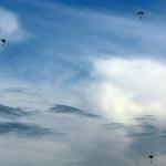 20080704_0767-vi.jpg