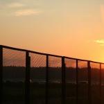 Tundra08658-vi.jpg