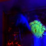 DSC00588.jpg