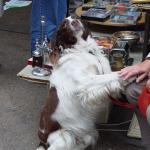 DSC06641.jpg
