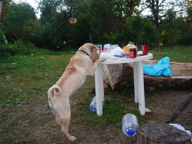 DSC00214.jpg