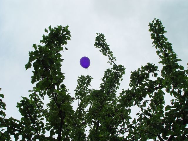 Picture_056.jpg