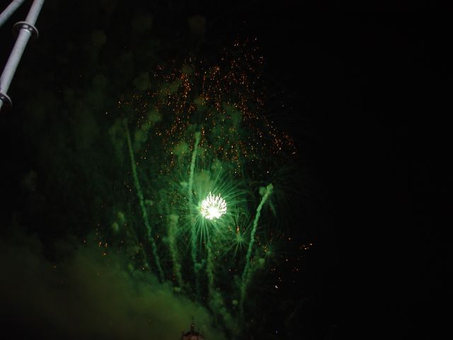 res8242.jpg