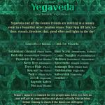 YEGAVEDA psychedelic experience