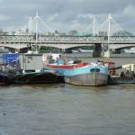 DSC04362.jpg
