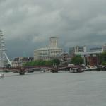 DSC04445.jpg