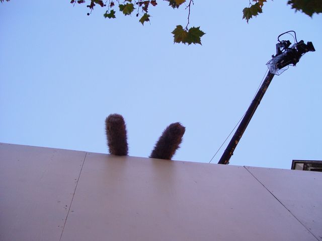 DSC07352.jpg