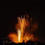 DSC05580.jpg