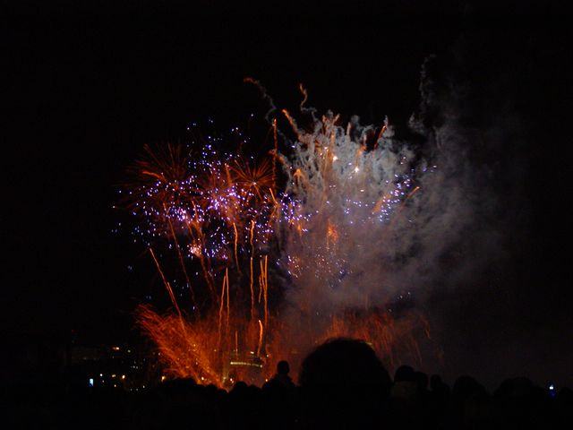 DSC05581.jpg