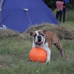IMG_5005.jpg