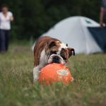 IMG_5036.jpg